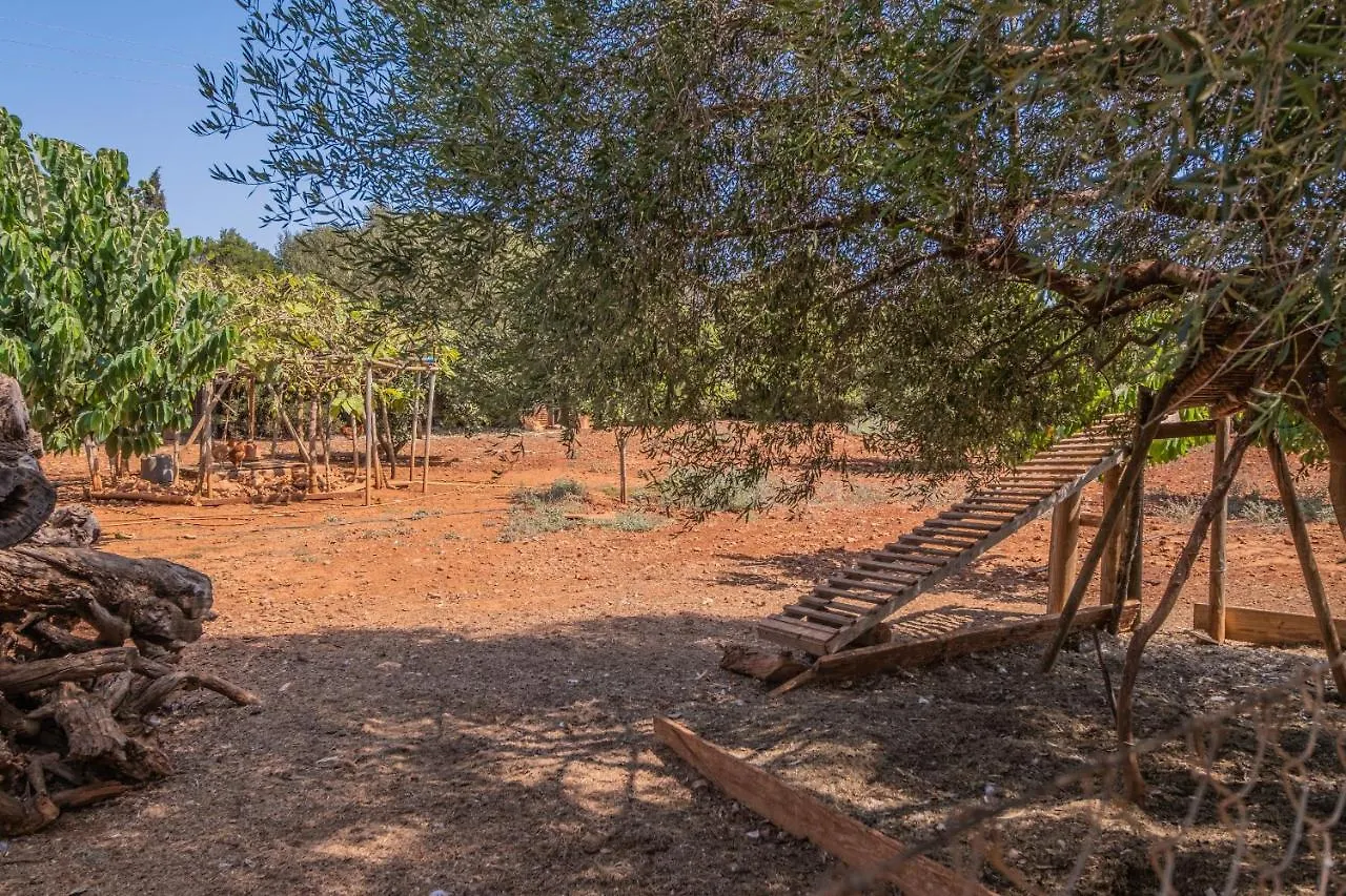 Finca Can Llorenc By Mallorca Villa Selection 卡拉罗曼蒂卡